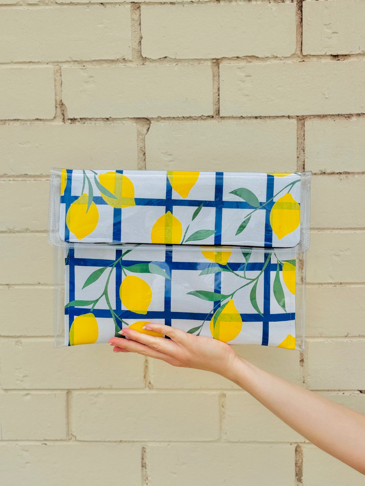LAPTOP CASES