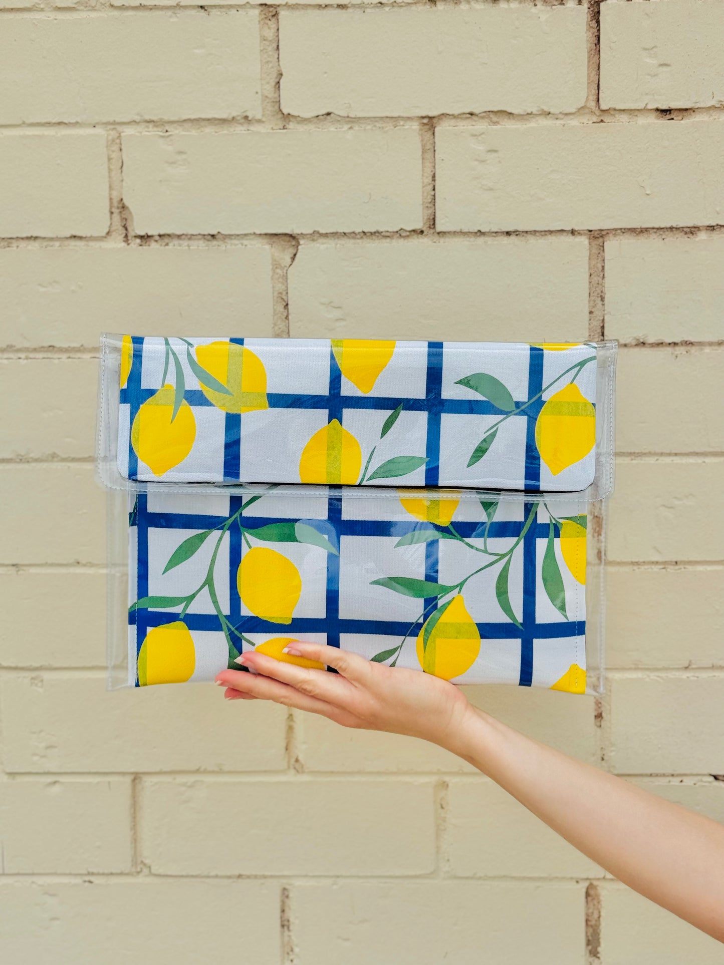 LIMONCELLO | 11" TECH CASE